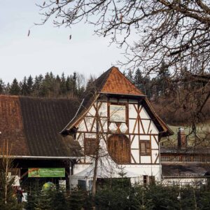 Ländle Christbaum PK 2024 -Christbaumverkauf Sunnahof – Foto Manuelpaul.com