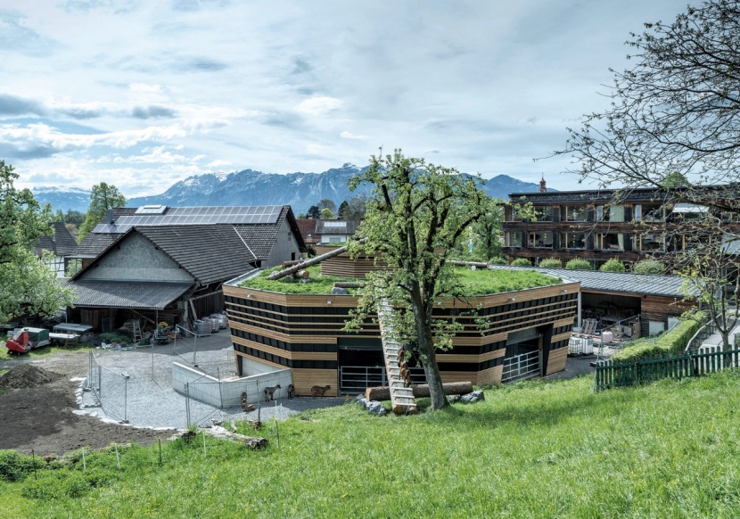 Hofgebäude Mit Gelände Von Der Hinteren Ansicht, Grüne Wiese, Ein Baum