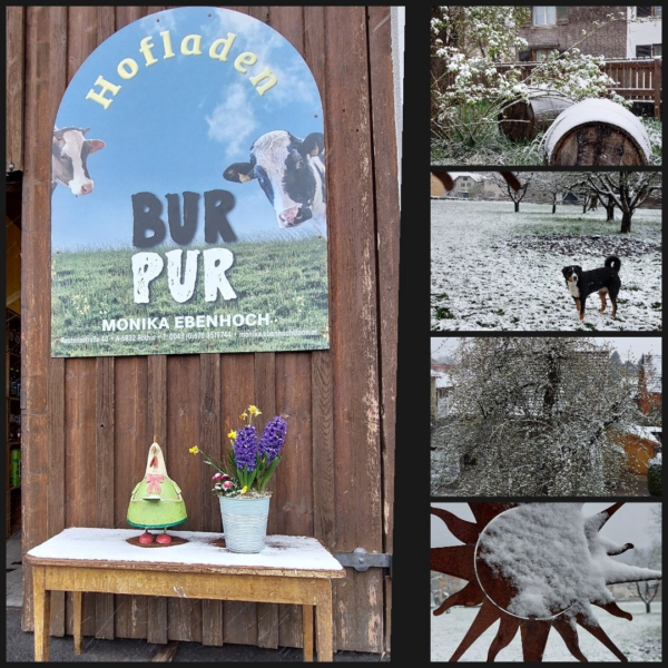 Hofladen Plakat an der Holzwand, davor steht eine kleine Bank, darauf ein Blumenschmuck und Dekohuhn aus Metall, rechts ein Streifen von 4 Winterbildern