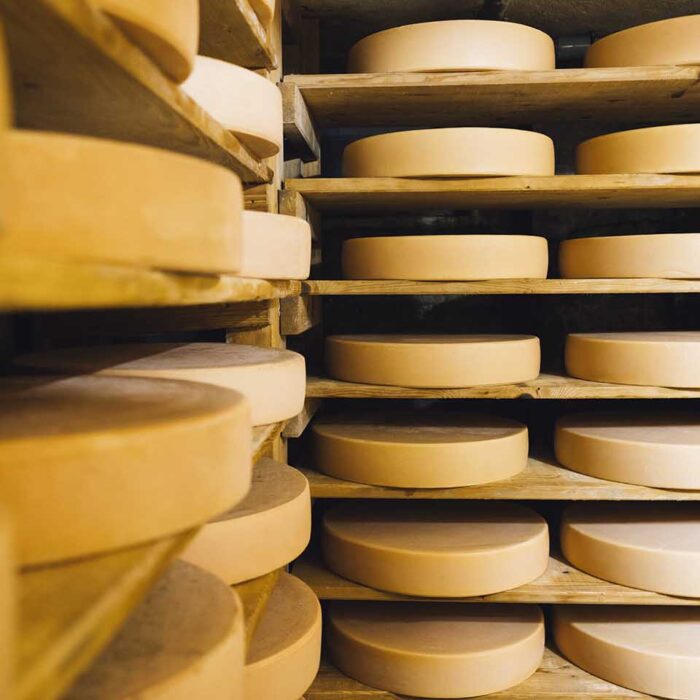 Käsekeller auf der Alpe Oberlose (Foto: manuelpaul.com) Viele große Laibe Käse lagern geschichtet in den Regalen im Käsekeller der Alpe Oberlose.