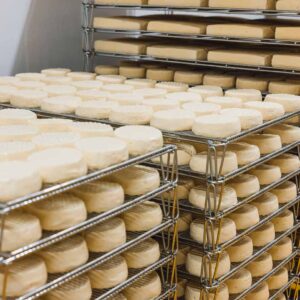 Verschiedene Käselaibe Der Weichkäserei Schnepfau (Foto: Manuelpaul)