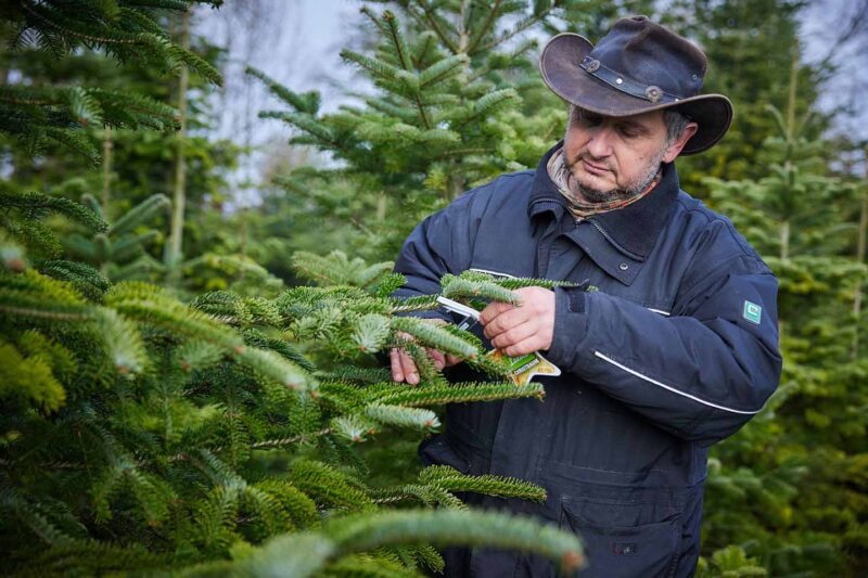 Familie Fink - Fink Peter Befestigt Den Ländle Gütesiegel Stern Foto: Pallinger