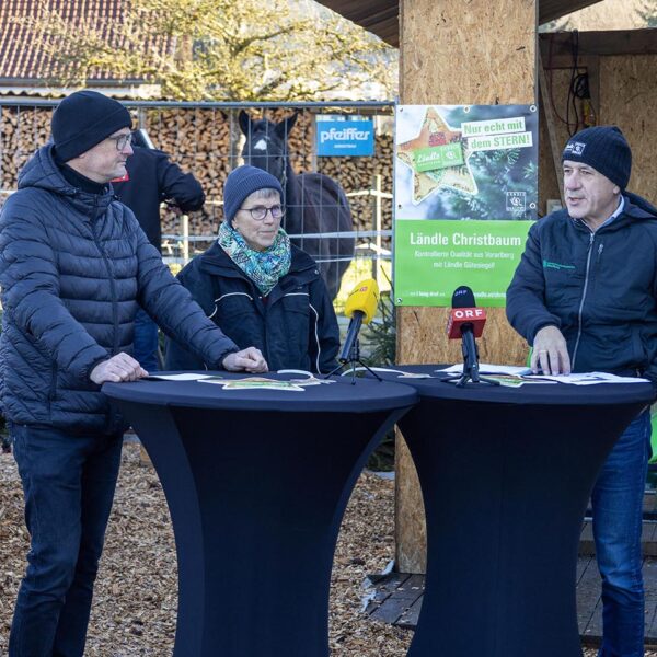 Ländle Christbaum PK 2025: Marcel Strauß (Ländle Marketing), Balbina Jochum (Ländle Christbaum Produzentin) und Thomas Ölz (LK Vorarlberg) (Foto: LQM)