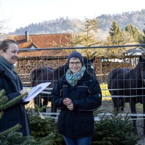 Ländle Christbaum PK 2025: Produzentin Balbina Jochum Im Gespräch Mit Der VN (Foto: LQM)