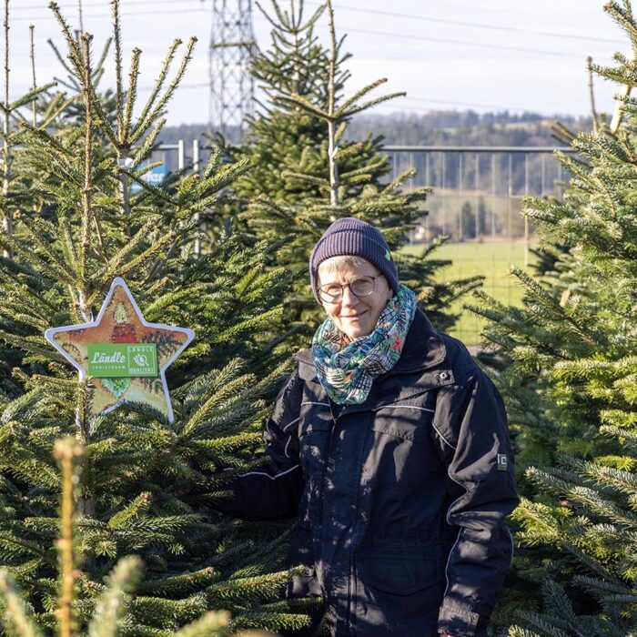 Ländle Christbaum PK 2025: Produzentin Balbina Jochum zwischen ihren frisch geschlagenen Bäumen (Foto: LQM)
