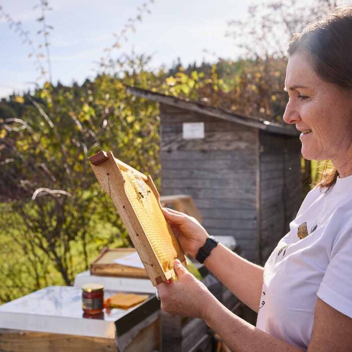 Martina Pinzger begutachtet den Zustand einer Bienenwabe - Foto Pallinger Martina Pinzger begutachtet den Zustand einer Bienenwabe - Foto Pallinger