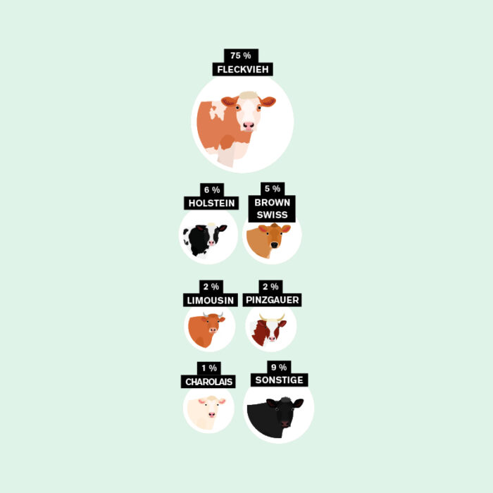 Grafik Rinderrassen Grafik Rinderrassen