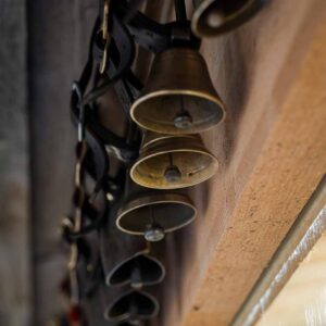 Käse Schwarz – Ziegen-Glöckchen – Foto: Michael Kreyer