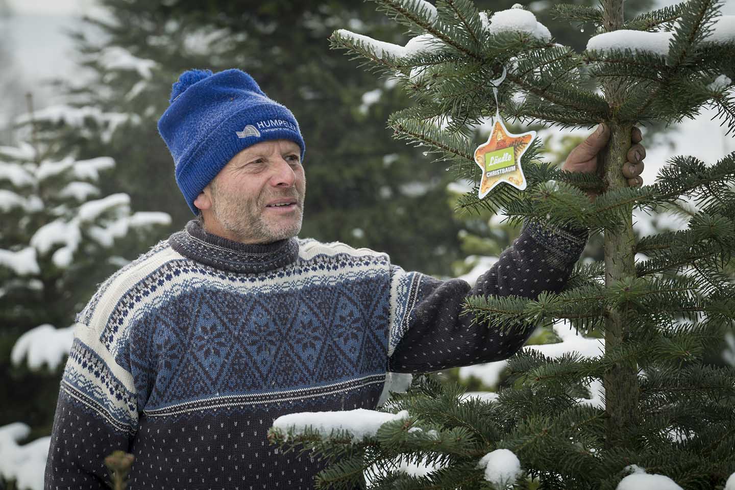 Erwin Bauer Steht Neben Einen Ländle Christbaum Und Blickt Auf Den Stern Mit Gütesiegel.