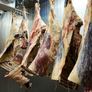 Hochwertiges Rindfleisch Durch Gute Lagerung Am Peterlehof (Fotograf: Pallinger)