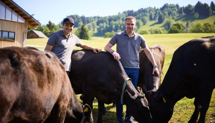 Wolfgang Rigo Und Betriebsleiter Christoph Burtscher Stehen Zwischen Den Rindern Auf Der Weide Vor Dem Petrlehof.