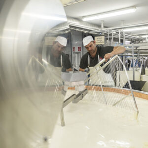 Senner Bernd Geiger Bei Der Käseproduktion (Foto: Michael Kreyer)