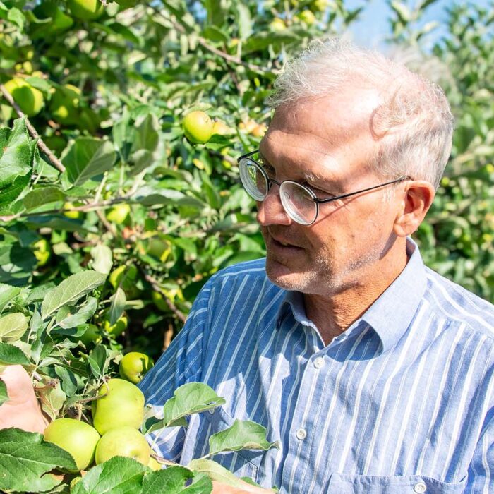 Portrait von Jens Blum beim kontrollieren seiner Apfelbäume - Foto: LQM Portrait von Jens Blum beim kontrollieren seiner Apfelbäume - Foto: LQM